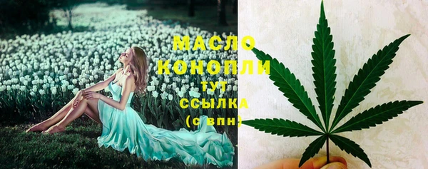дмт Алзамай